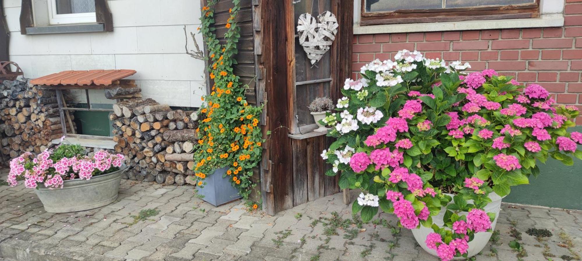 Frühstückspension Fechtig *