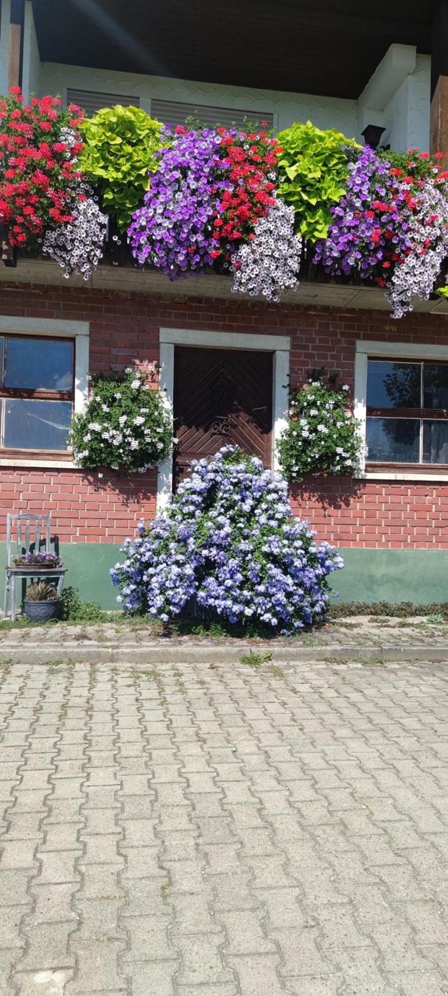 Gaestehaus Fechtig Couette-café