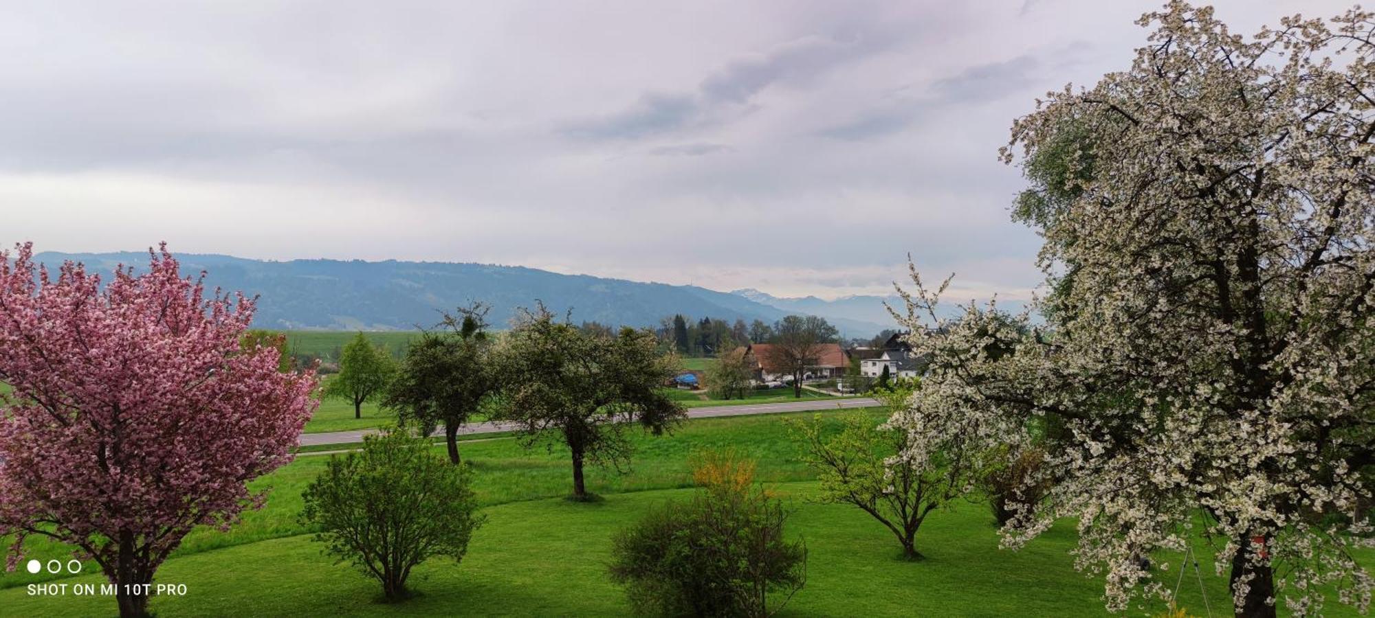 Couette-café Gaestehaus Fechtig Hergensweiler
